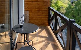 Vila Ferdinand - Apartament Iarina
